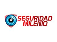 seguridad milenio